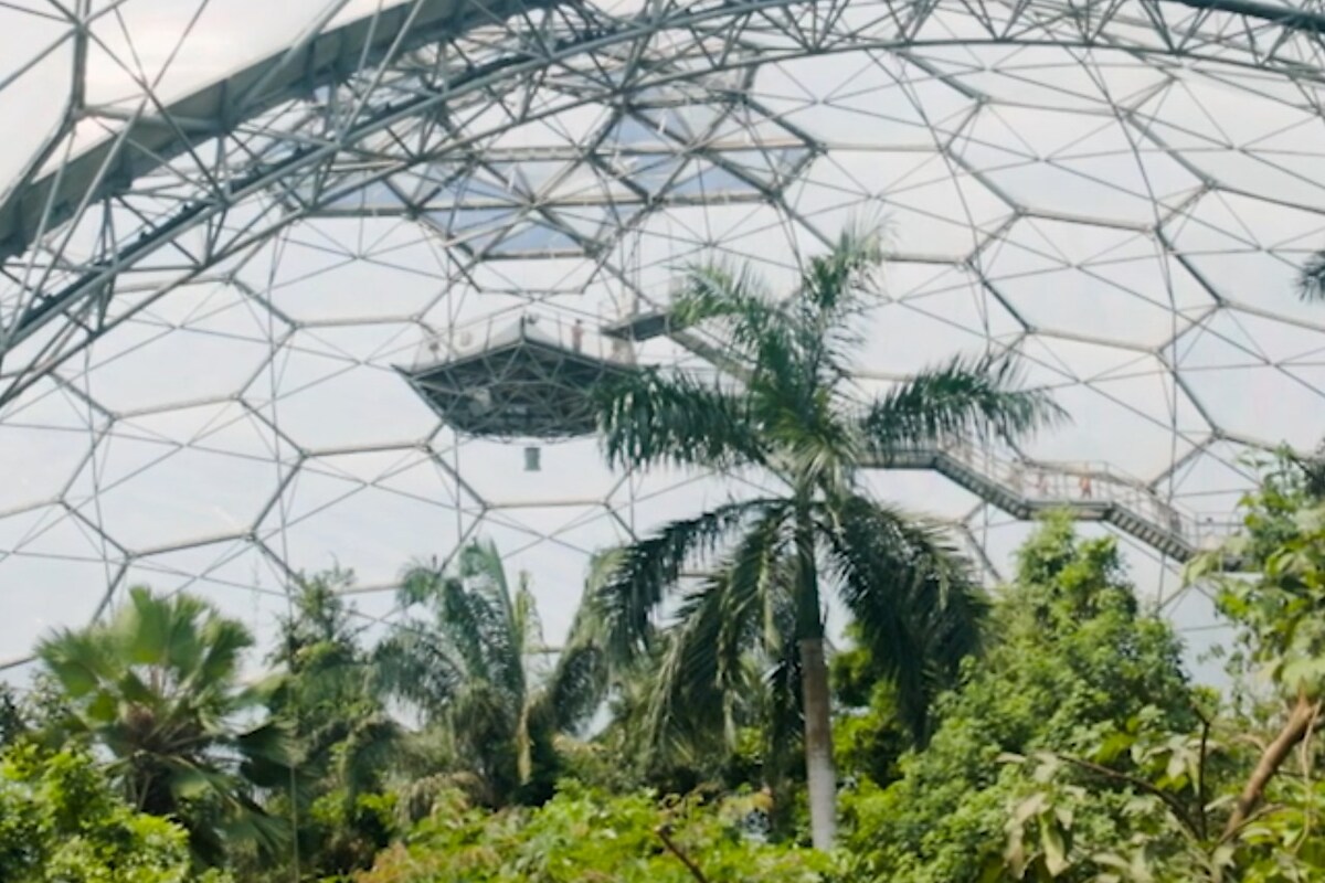 eden_project_atlantic_reach_1