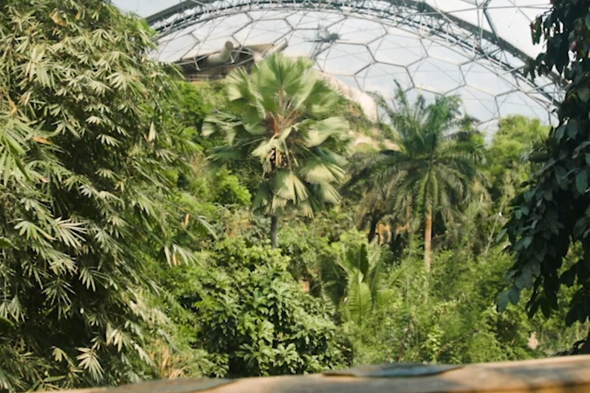 eden_project_atlantic_reach_2