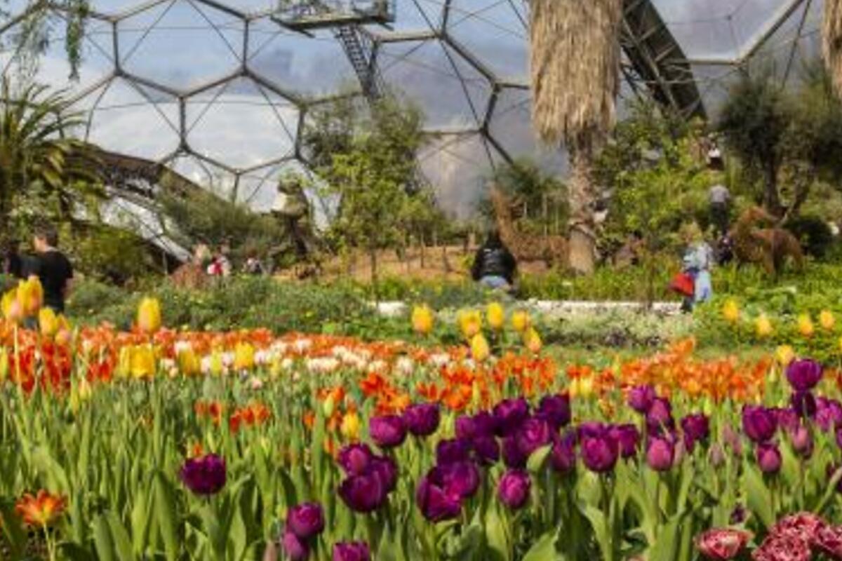 eden_project_atlantic_reach_4