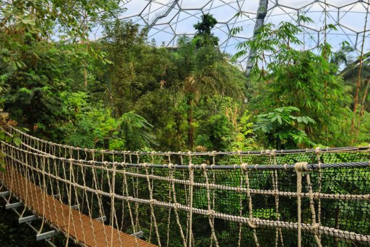 eden_project_atlantic_reach_6
