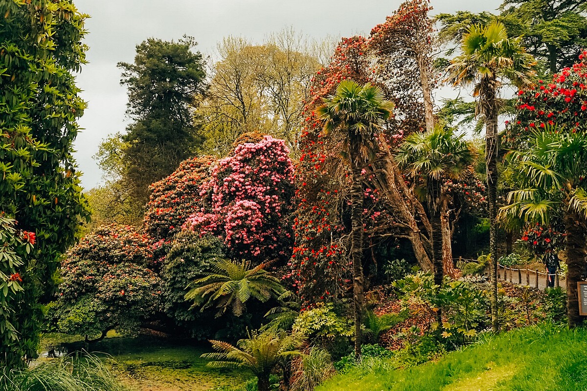 lost_gardens_heligan_atlantic_reach_1