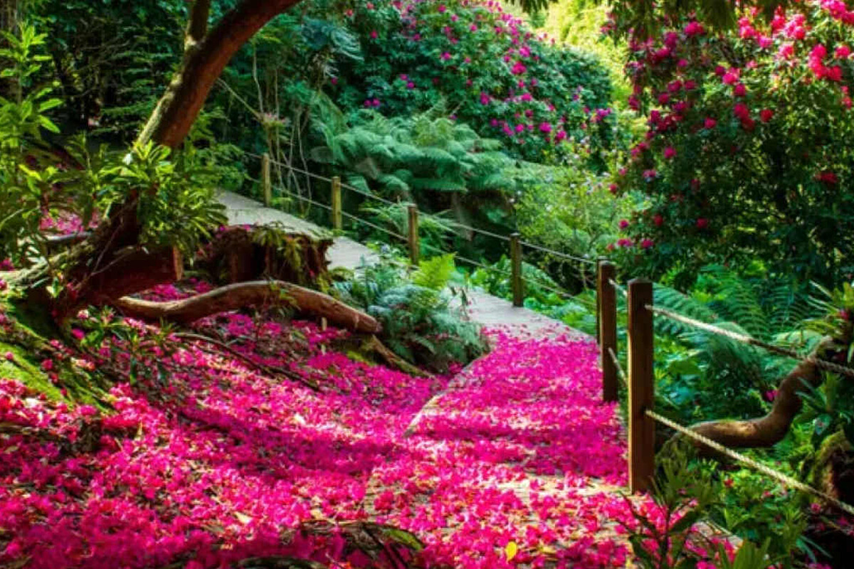 lost_gardens_heligan_atlantic_reach_2