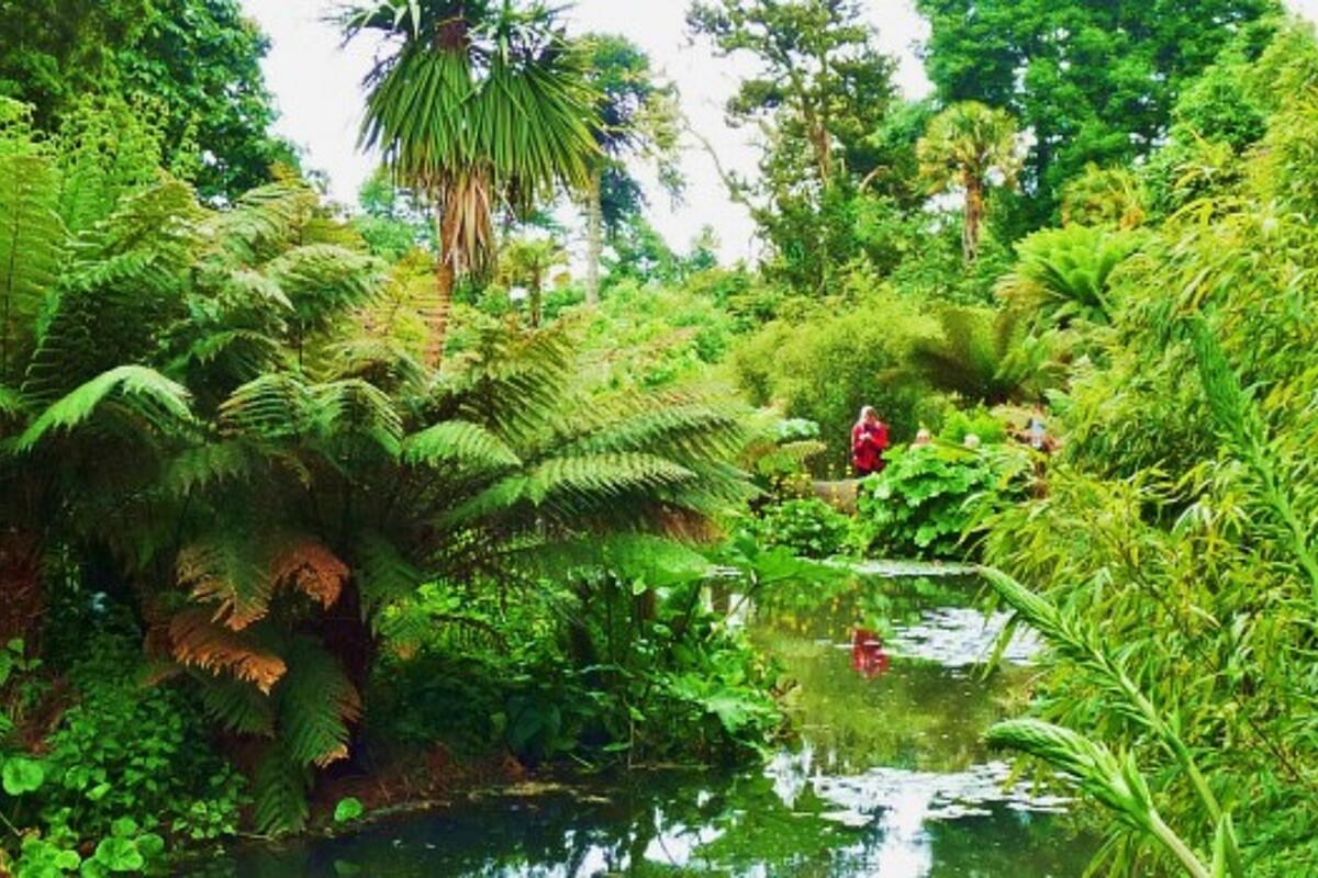 lost_gardens_heligan_atlantic_reach_4