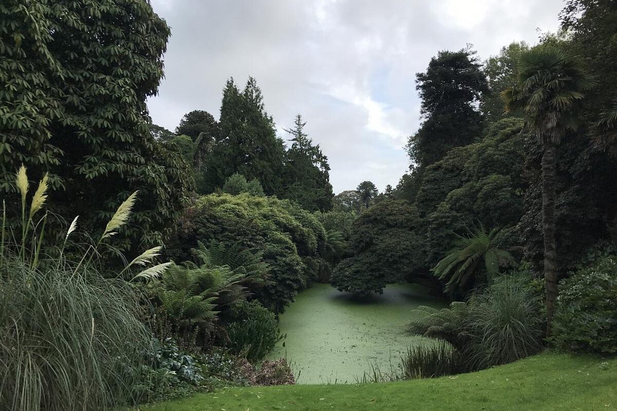 lost_gardens_heligan_atlantic_reach_6