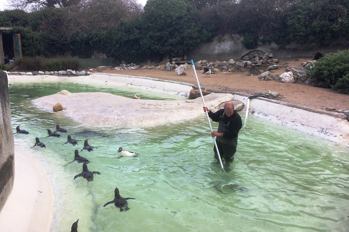 newquay_zoo_atlantic_reach_1