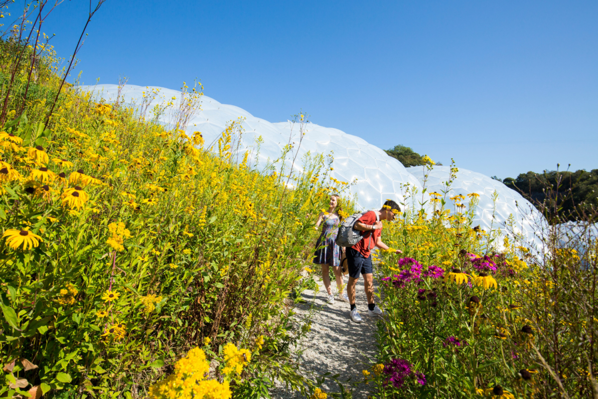 eden-project-1