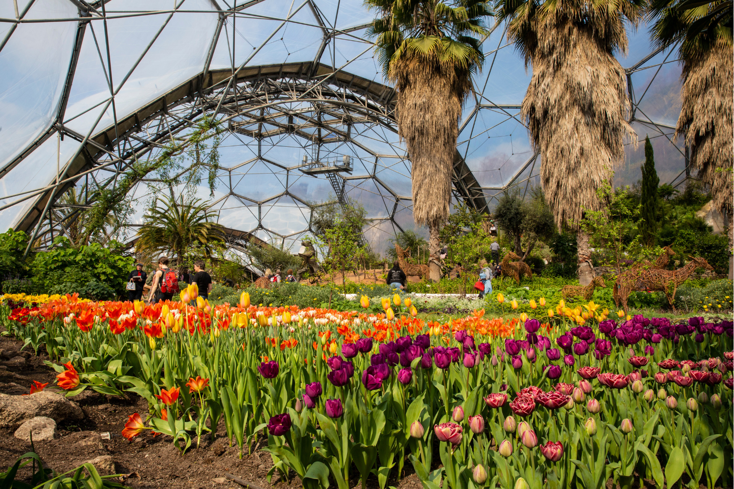 Eden Project biomes