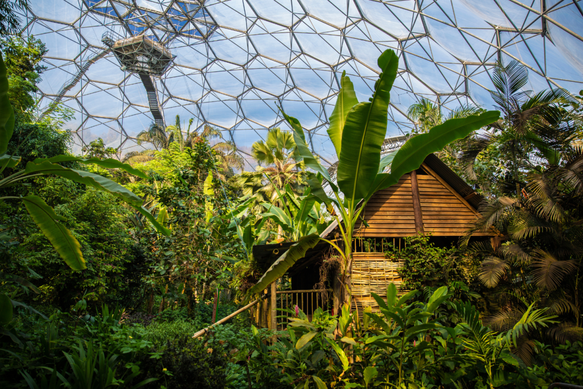 eden-project-9