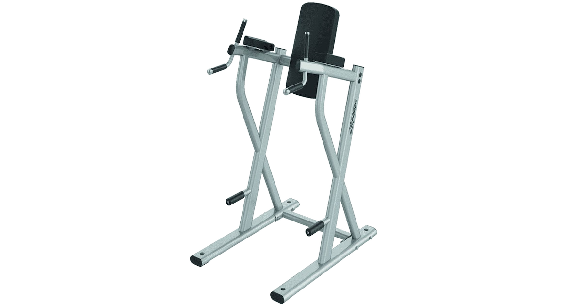 Life Fitness Axiom Dip / Leg Raise