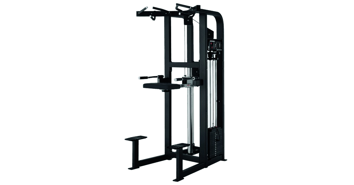 Life Fitness Dip Assist / Chin Assist gym equipment